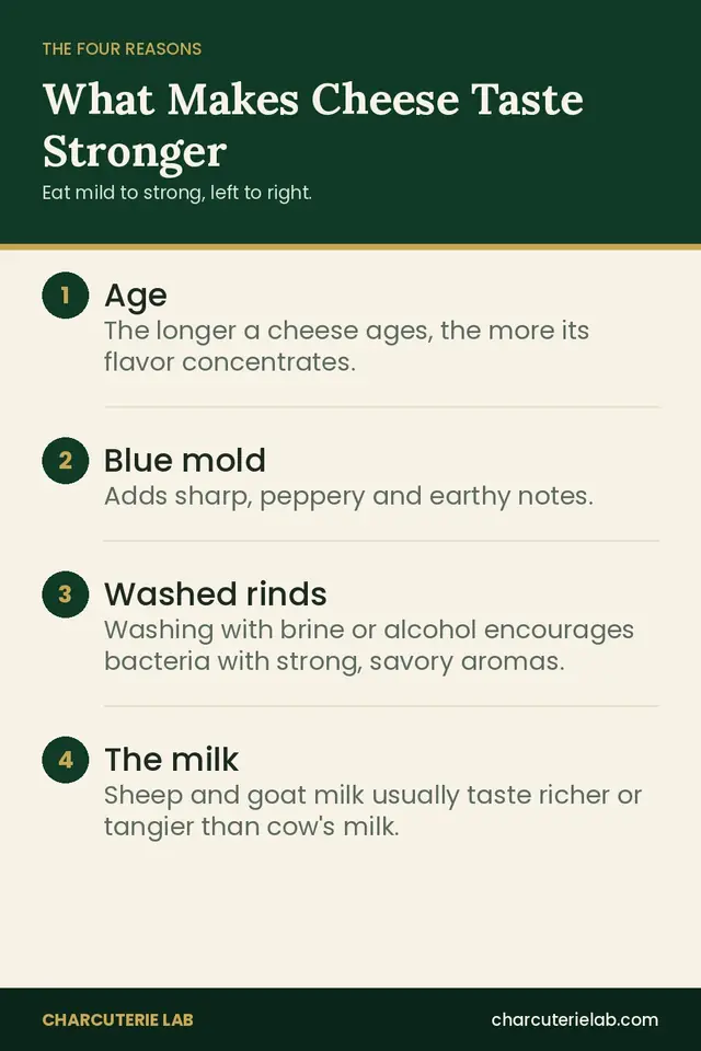 The four reasons cheese tastes stronger: age, blue mold, washed rinds and the milk